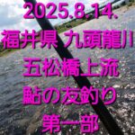 2025.8.14.福井県 九頭龍川 鮎釣り 第一部