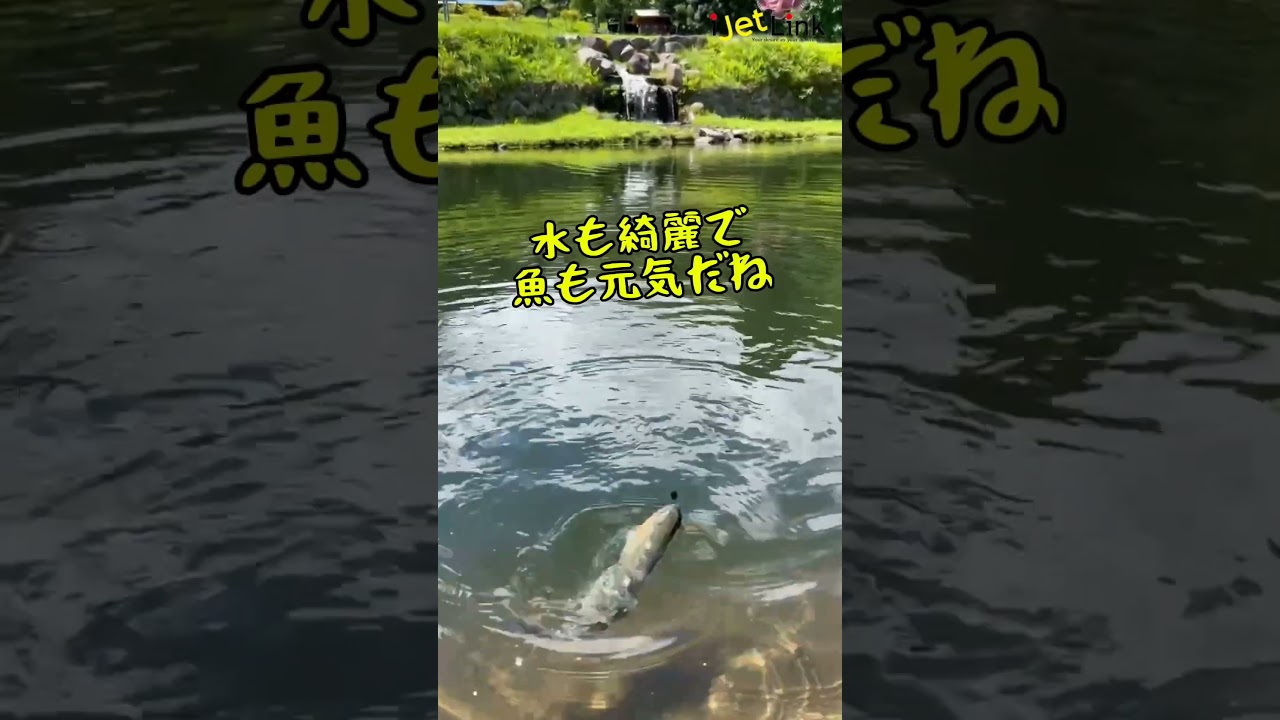 2025年6月Openの管理釣り場『恵比寿』行ってきた。
