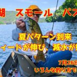 2025年7月26日　桧原湖　スモールマウスバス釣り　1ヶ月振りの桧原湖はすっかり夏パターン