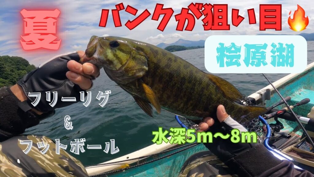 【桧原湖バス釣り】2025/7/27バンクにはしっかり魚が！かけ上がりのバスを丁寧に誘い出す✨