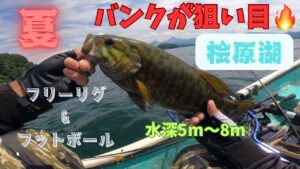 【桧原湖バス釣り】2025/7/27バンクにはしっかり魚が！かけ上がりのバスを丁寧に誘い出す✨