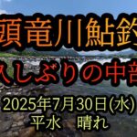 【九頭竜川鮎釣り】久しぶりの中部　2025年7月30日(水)