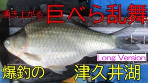 津久井湖・名手ワンド　へら鮒釣り　2025年8月