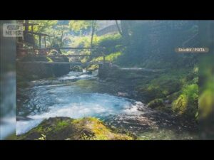 東京・奥多摩町でクマ被害 渓流釣りの男性が襲われけが 付近にキャンプ場も【知っておきたい!】【グッド!モーニング】(2025年8月24日)