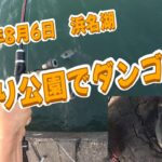 【浜名湖　釣り】2025年8月6日　浜名湖　海釣り公園でダンゴ釣り