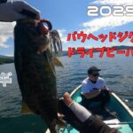 【桧原湖バス釣り】2025/8/9エビ・虫・ワカサギ。場所によってパターンを変えると釣果アップ🔥✨