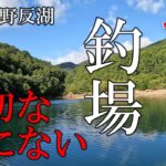 【天空の野反湖】ニシブタの夏 連休初日🎣　ルアーフィッシング　フライフィッシング　2025年8月9日