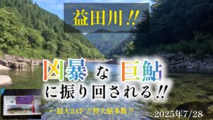 益田川‼️凶暴な巨鮎に振り回される‼️最大24㌢‼️特大鮎多数‼️2025年7/28