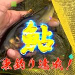 25 8 27 祝 束釣り 神通川 鮎