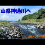 250801---02 神通川分流鮎釣り