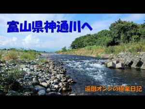 250801---02 神通川分流鮎釣り