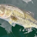 【榛名湖】デカバス求めて2DAYS編