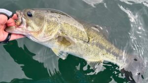 【榛名湖】デカバス求めて2DAYS編