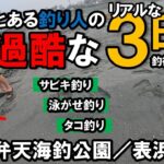 新居弁天海釣公園/表浜名湖で過酷な3日間!サビキ釣、泳がせ釣り、タコ釣りで目的の釣果は上げられるのか!?妹も初参戦!!