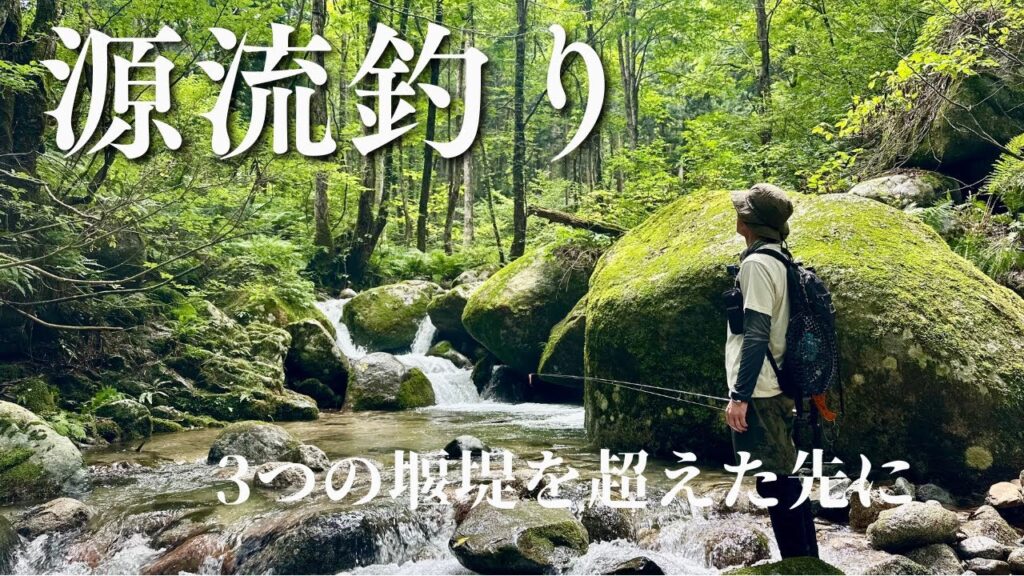 【渓流釣り】堰堤を3つ越えて。その源流で大イワナを追う。
