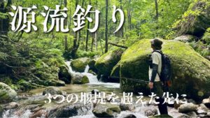 【渓流釣り】堰堤を3つ越えて。その源流で大イワナを追う。