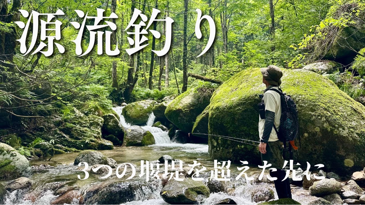 【渓流釣り】堰堤を3つ越えて。その源流で大イワナを追う。
