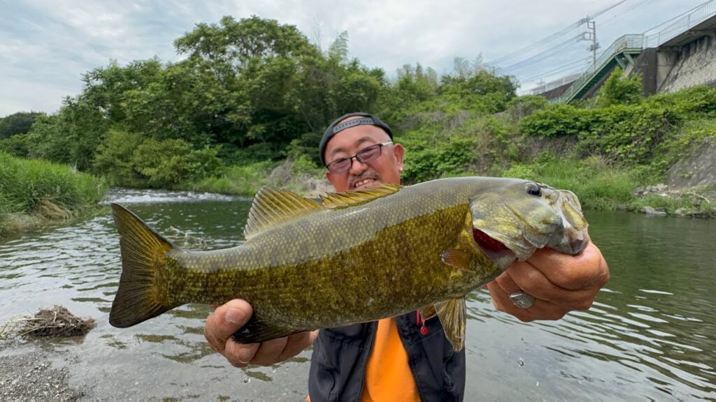 入間川バス釣りスモールマウスバスフィシング&びん沼 3HIT 🎣🐟