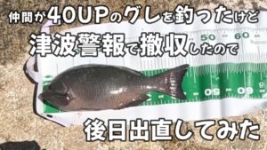 【浜名湖 釣り】仲間が40UPのグレを釣ったけど 津波警報で撤収したので 後日出直してみた