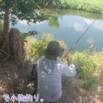 41度ってー(^^;)   体温超えはヤバいです。 狛江市の多摩川で小物釣り。