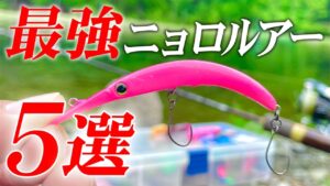 【初心者向け】管釣りで困ったらコレ投げて！超おすすめニョロ系ルアー5選【エリアトラウト】【管理釣り場】