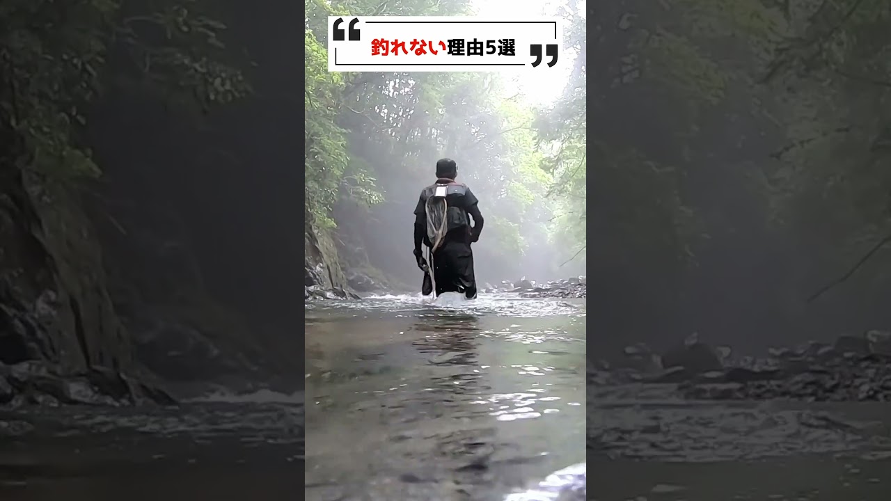 渓流釣りで釣れない理由5選