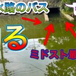 【5月バス釣り前編】管理釣り場で100匹釣るコツは？【水藻フィッシングセンター】