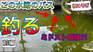【5月バス釣り前編】管理釣り場で100匹釣るコツは？【水藻フィッシングセンター】