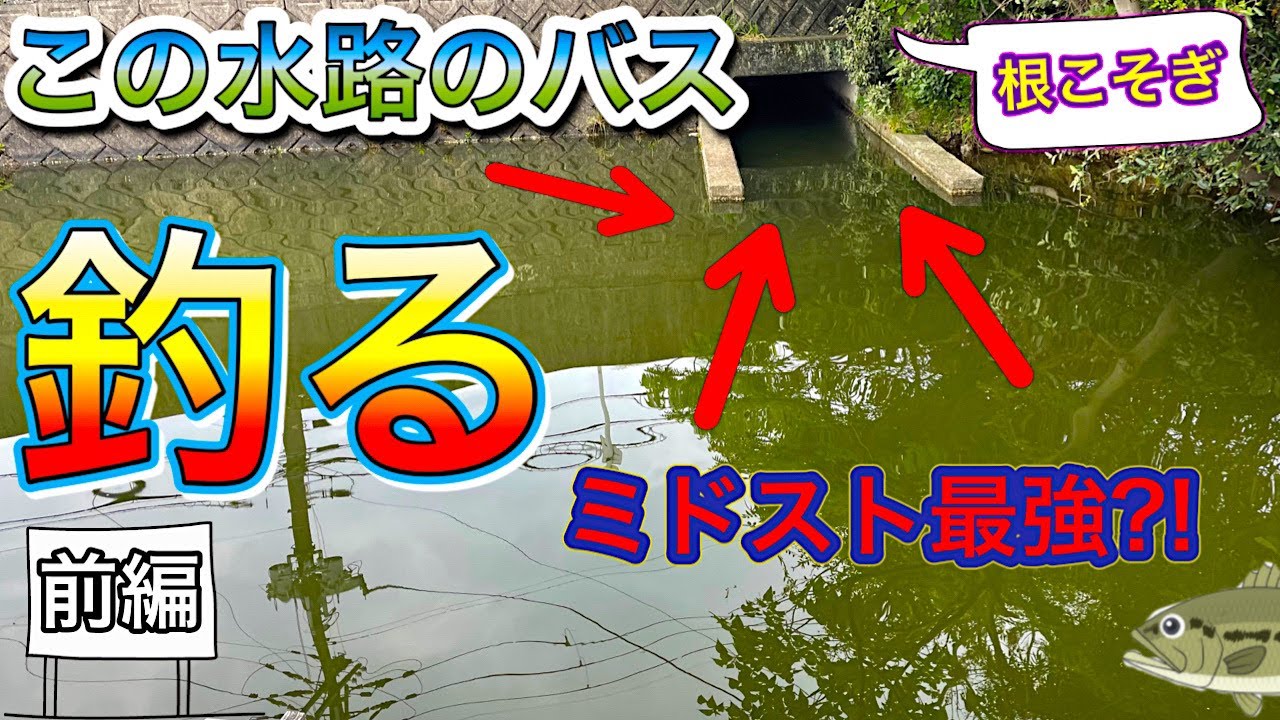 【5月バス釣り前編】管理釣り場で100匹釣るコツは?【水藻フィッシングセンター】