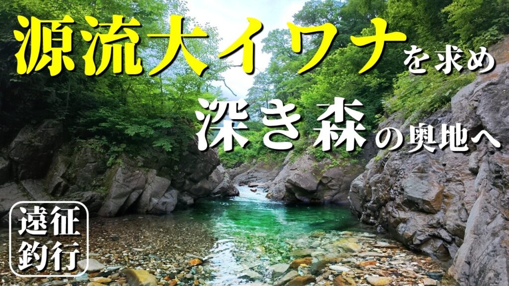 深き藪の奥地に潜む“源流大イワナ”を追う｜5泊6日の車中泊渓流釣り遠征釣行