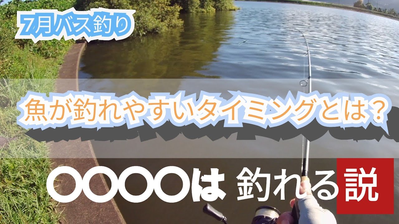 7月猛暑日【バス釣り】大江川　水系　夏の夕マヅメの時間帯ハードルアーに好反応！