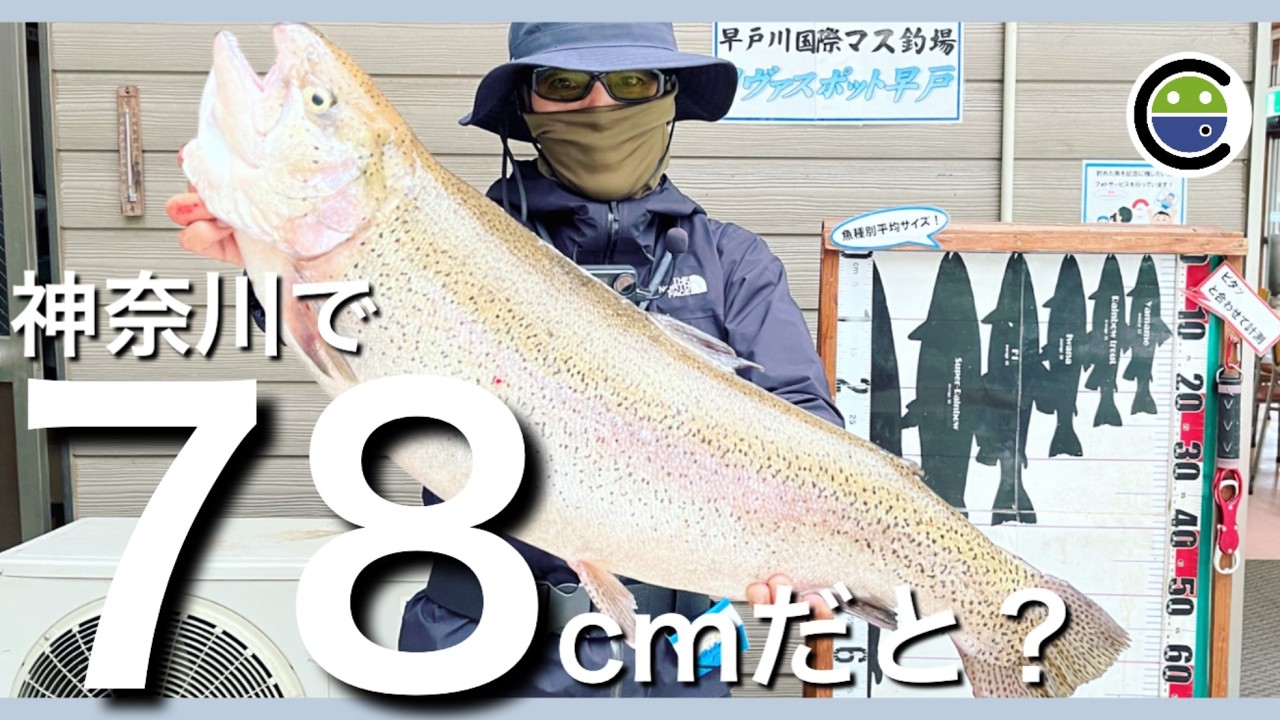神奈川で78cmだと?放流魚専門雑魚釣り師が本領発揮【エリアトラウト】【管理釣り場】【リヴァスポット早戸】