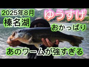 【群馬8月 榛名湖ブラックバス釣り】ゆうすげのポイントを攻める【後編】 #バス釣り #榛名湖 #ブラックバス