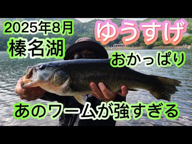 【群馬8月 榛名湖ブラックバス釣り】ゆうすげのポイントを攻める【後編】 #バス釣り #榛名湖　#ブラックバス
