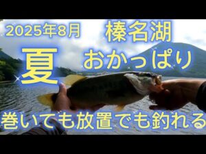 【群馬8月 榛名湖ブラックバス釣り】高原学校前のポイントを攻める【前編】 #バス釣り #榛名湖 #ブラックバス