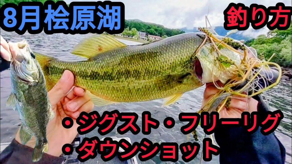 【8月桧原湖】釣り方がハマれば連発ヒット！【バス釣り】