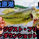【8月桧原湖】釣り方がハマれば連発ヒット！【バス釣り】