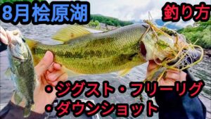 【8月桧原湖】釣り方がハマれば連発ヒット！【バス釣り】