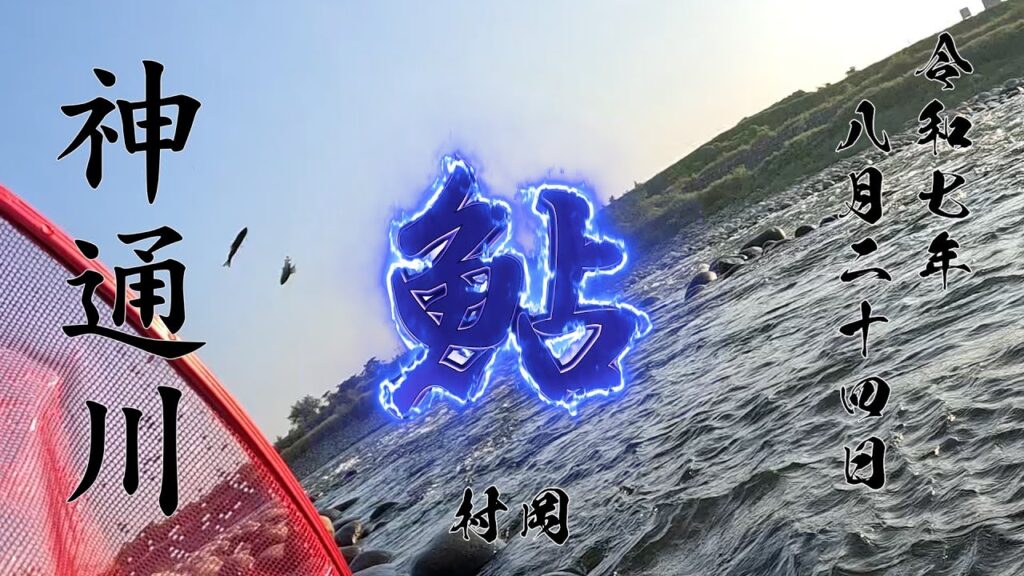 8 24 神通川 鮎
