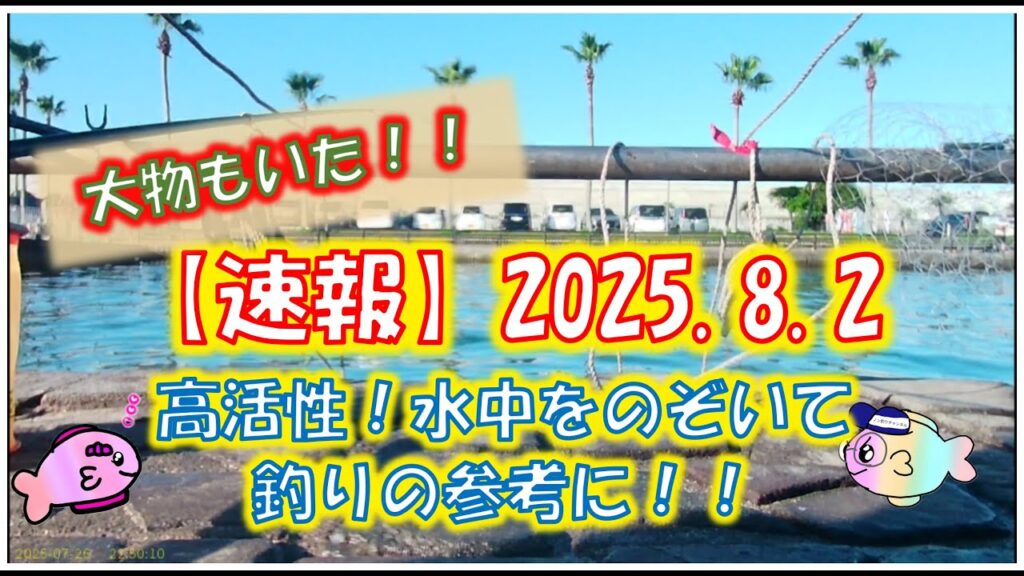 浜名湖　釣り　速報8月2日　濁りはスゴイが魚はいる！