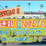 浜名湖　釣り　速報8月2日　濁りはスゴイが魚はいる！