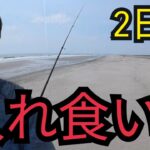 8/23.24土日連続で遠州灘サーフへルアー釣りとエサ釣りに行ったら⋯
