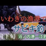 いわきの漁港でサビキ釣り(江名港、沼ノ内港)9月下旬