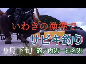 いわきの漁港でサビキ釣り(江名港、沼ノ内港)9月下旬