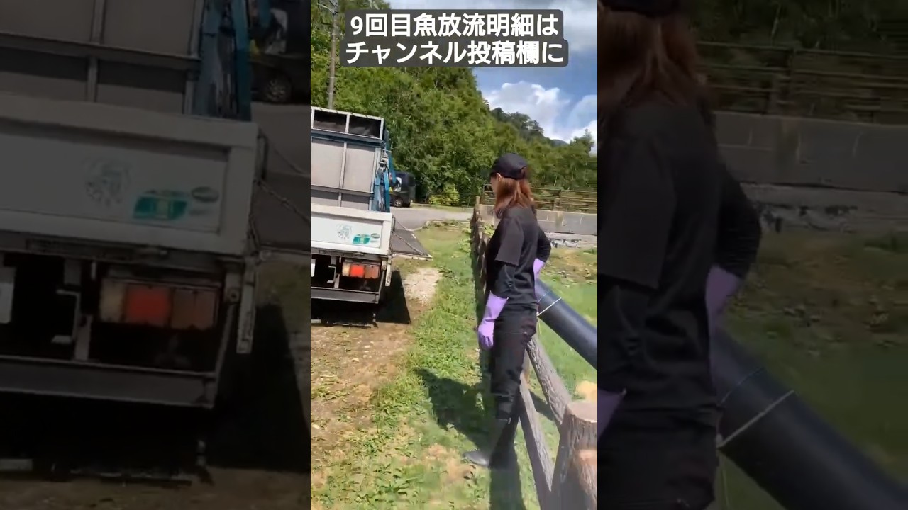 9回目野反湖魚放流情報#shorts