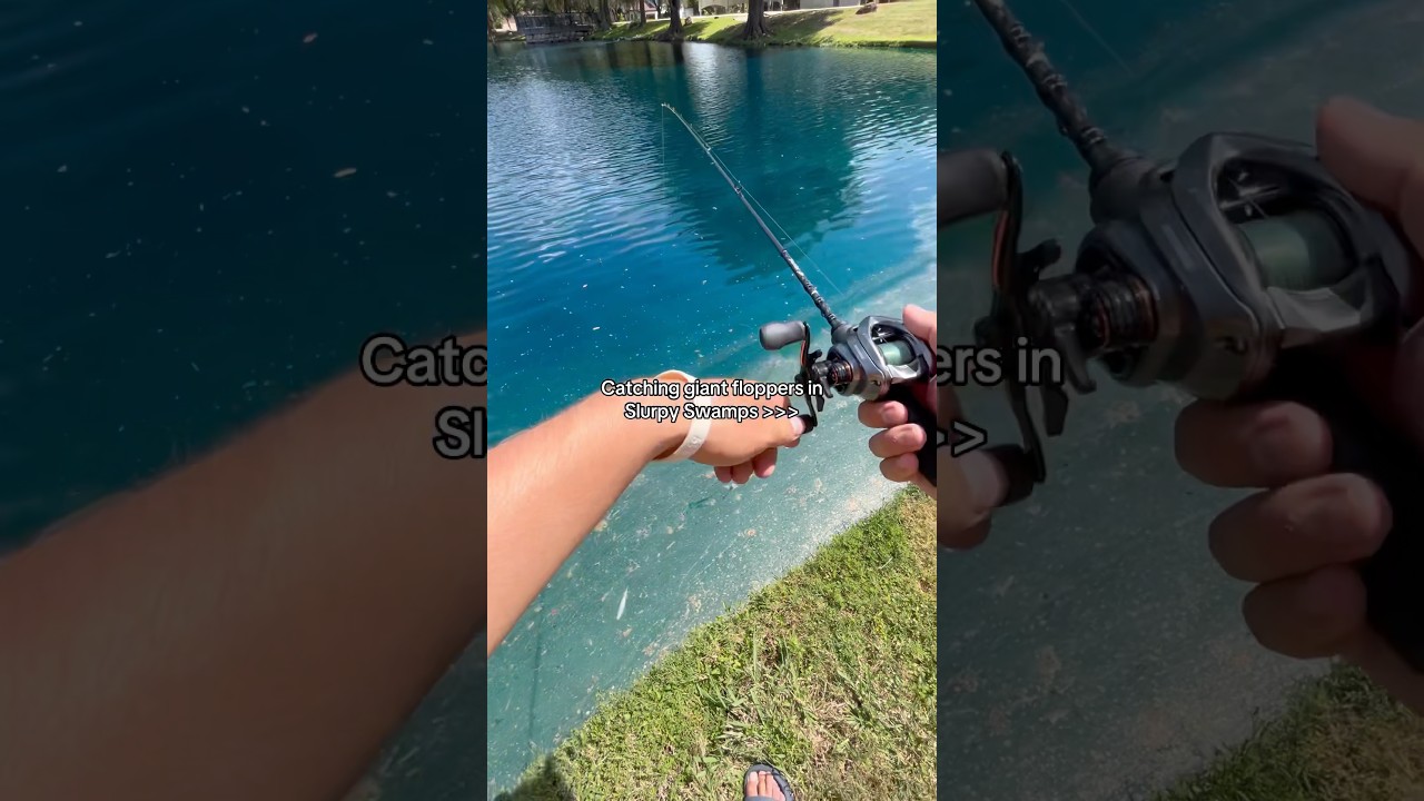 Catching FLOPPERS in Slurpy Swamps!💀 #fishing #shorts