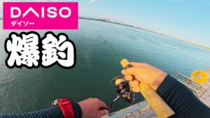 【浜名湖】DAISOロッドで色々釣って遊びました