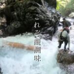 【作業・寝落ち用】【流し見】【渓流釣り】【登山】”Day1”南アルプス聖岳水源「遠山川釣行記」