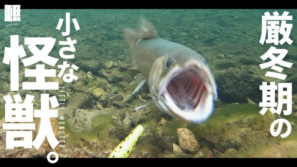 管理釣り場でミノーだけ、厳冬期の小さな怪獣イワナの水中ヒットシーン【Eng Subs】 #エリアトラウト #管理釣り場 #エリアミノーイング