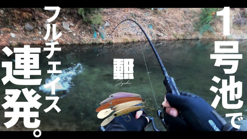 管理釣り場でミノーだけ、エリアミノーイング聖地にて大型トラウトを攻略【Eng Subs】 #エリアトラウト #管理釣り場 #日本イワナセンター